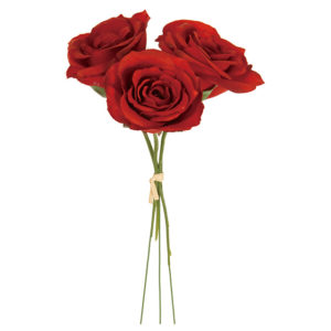 FM008659　003-1　プリティカルローズ1本＃3レッド