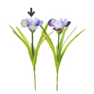 Ａ－３６０２１　アイリスピック #007B ﾗｲﾄﾊﾟ-ﾌﾟﾙ