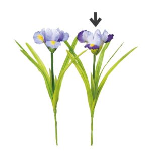 Ａ－３６０２１　アイリスピック #007T ﾂｰﾄﾝﾊﾟｰﾌﾟﾙ