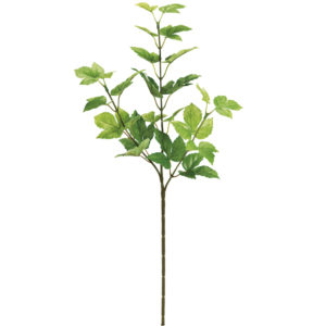 メープルアイビースプレー ＬＴ．ＧＲ