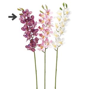 Ａ－３４７０６　モカラＸ１０　つ#007G ﾊﾟ-ﾌﾟﾙｸﾞﾘ-ﾝ