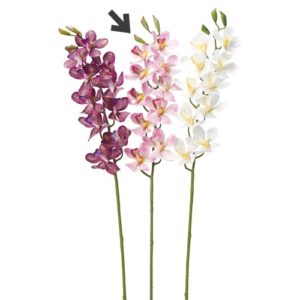 Ａ－３４７０６　モカラＸ１０　つ#045W ﾎﾜｲﾄｵ-ｷｯﾄﾞ