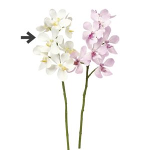 Ａ－３４７５５　オーキッドＸ７#001 ﾎﾜｲﾄ