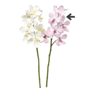 Ａ－３４７５５　オーキッドＸ７#016 ﾗｲﾄﾗﾍﾞﾝﾀﾞｰ