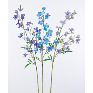 Ａ－３３５５４　ラクスパー×２０#007 ﾊﾟ-ﾌﾟﾙ