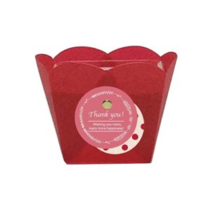 ＰＶ－１７　ピーチベースレッド