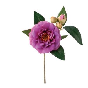 椿ﾏｾﾞﾝﾀﾞ