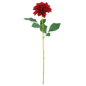 Ｖ２４２０７　ダリアシングルスプ#003 ﾚｯﾄﾞ