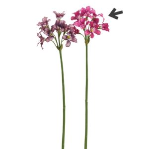 Ａ－３４９５１　リコリス×９#026 ﾌｯｼｬ