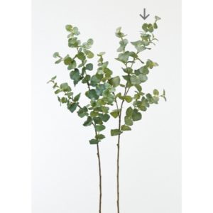 Ａ－４２７６６　ユーカリ#063G ｸﾞﾚｲｸﾞﾘ-ﾝ