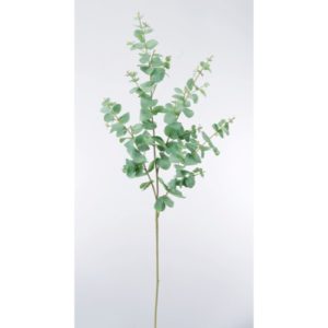 Ａ－４３２０３　ユーカリ#063G ｸﾞﾚｲｸﾞﾘ-ﾝ