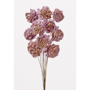 ソーラーローズ・小ﾔｸ10ﾎﾝ ﾐｽﾃｨﾛｰｽﾞ/ｺﾞｰﾙ