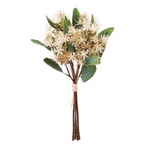 Ａ－４４２７２　ユーカリシードバ#011 ｸﾘ-ﾑﾎﾜｲﾄ