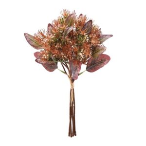 Ａ－４４２７２　ユーカリシードバ#028 ﾌﾞﾗｳﾝ