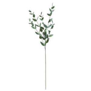 Ａ－４４３６３　ユーカリ#051A ｸﾞﾘ-ﾝ