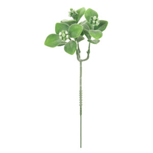 FM002935　001 ポーチベリーピック ＃１　　ＷＨ／ＧＲ