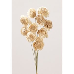 ソーラーローズ・小ﾔｸ10ﾎﾝ ｼﾛｺﾞｰﾙﾄﾞ