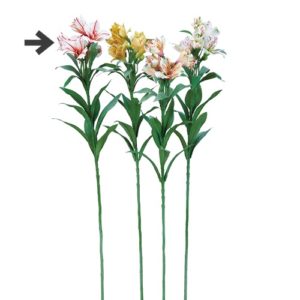 Ａ－３４８０５　アルストロメリア#001R ﾎﾜｲﾄﾚｯﾄﾞ