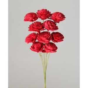 ソーラーローズ　小10ﾎﾝ ｸｨｰﾝﾚｯﾄﾞ