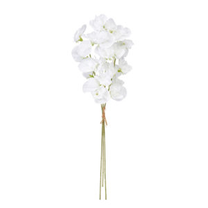 ジュディスイトピーバンドル ＃１　　ＷＨＩＴＥ