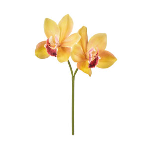 ミディシンビジウム ＃４　　ＹＥ／ＲＤ