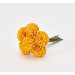 Ａ－３４２４１　ポンポンマムバン#040Y ｺﾞｰﾙﾄﾞｲｴﾛｰ