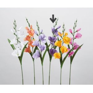 Ａ－３４２６９　グラジオラス#007 ﾊﾟ-ﾌﾟﾙ