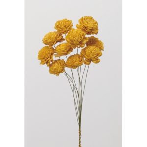 ソーラーローズ・小10ﾎﾝ ﾚﾓﾝｲｴﾛｰ