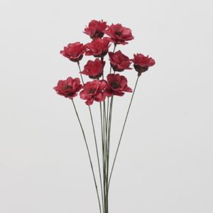 カリナフラワー10ﾎﾝ ﾌﾗﾝﾎﾞﾜｰｽﾞ