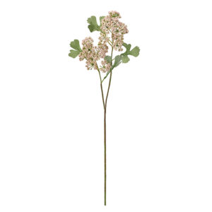 アンジェリカ ＃２　　ＰＩＮＫ