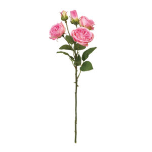 ミランダローズ ＃２　　ＰＩＮＫ