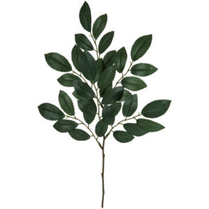 FG006346　 ヒサカキスプレー ＧＲＥＥＮ