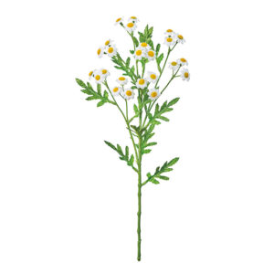 FM000303　 ホワイトエリカバンドル ＣＲＥＡＭ