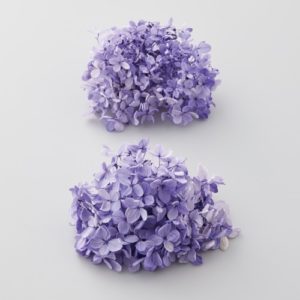 ピラミッドアジサイ・フレア・ヘッﾔｸ2ﾘﾝ ﾊﾟｰﾌﾟﾙ